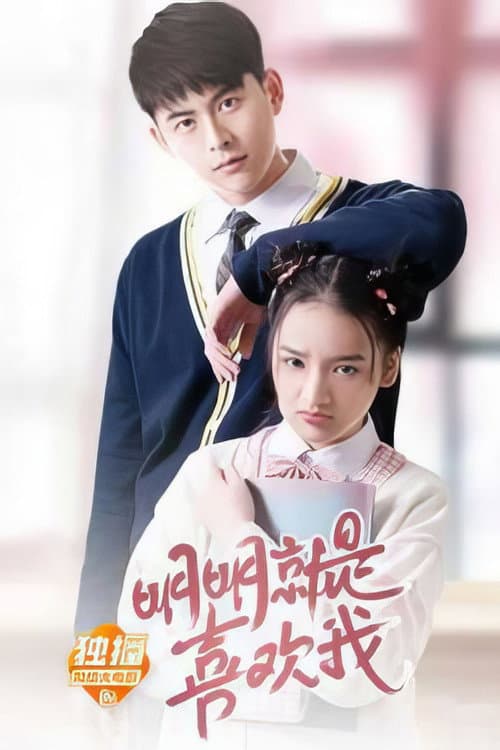 明明就是喜欢我 poster