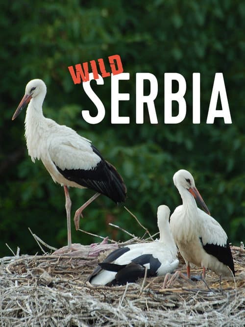 Wild Serbia poster