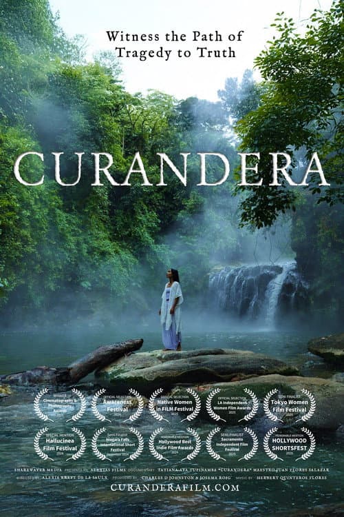 Curandera poster