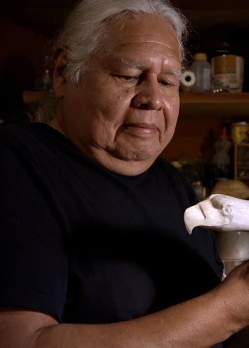 The Bear Inside a Whale poster