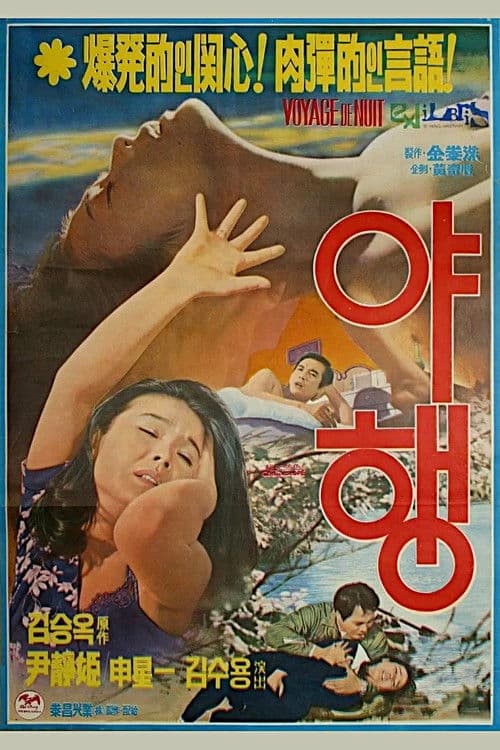 Night Journey poster