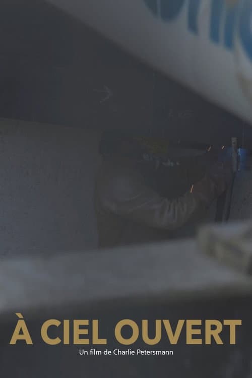 À ciel ouvert poster