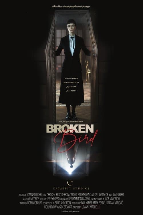 Broken Bird poster