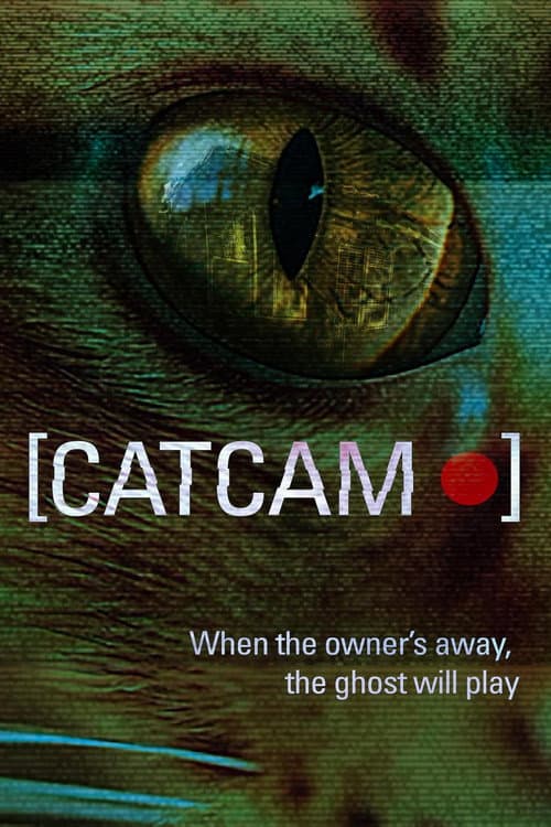 Cat Cam poster