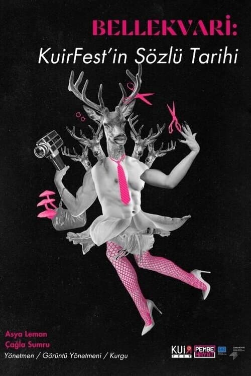 MEMORY-LIKE: An Oral History of QueerFest poster