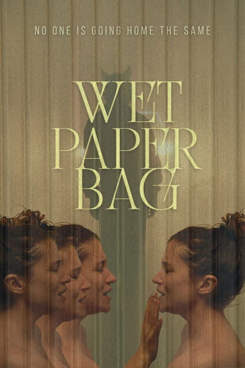 Wet Paper Bag poster