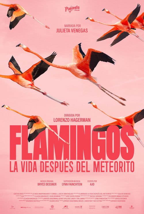 Flamingos: Life After the Meteorite poster