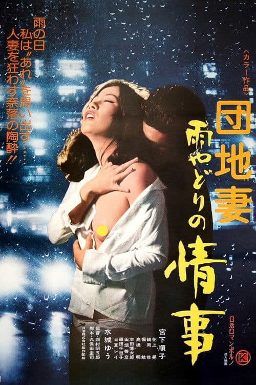 Apartment Wife: Rainy Day Affair poster