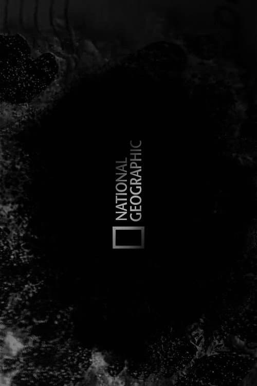 National Geographic: Lion Warriors poster