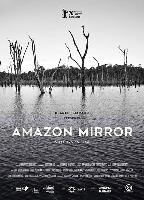Amazon Mirror poster