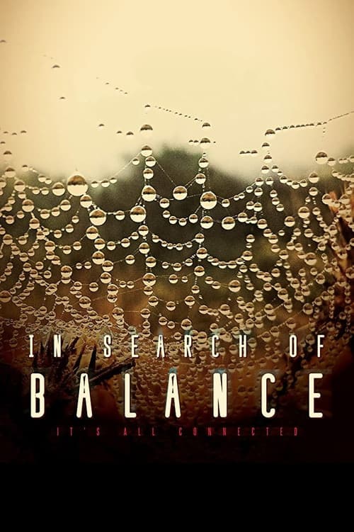 In Search of Balance poster