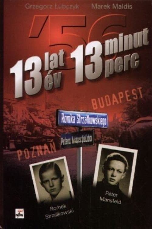 13 Years, 13 Minutes poster