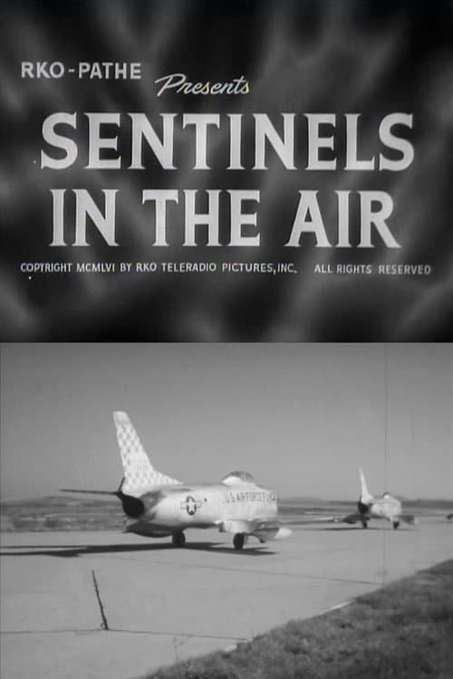 Sentinels in the Air poster