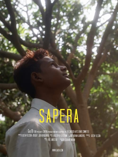 Sapera poster